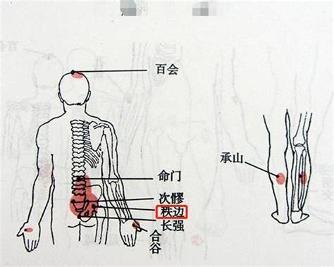 還跳穴